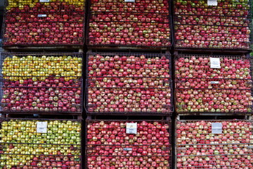 りんご　apples in Aomori