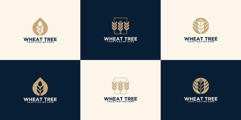 wheat plant logo set template design