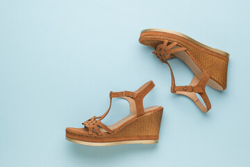A pair of women's dark brown sandals on a blue background.