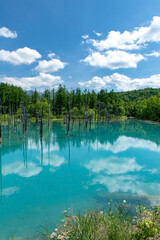 北海道　夏の青い池の風景