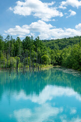 北海道　夏の青い池の風景