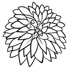 Obraz premium Beautiful Foliage Floral Frame Text Divider with elegant floral and leaves in Monochrome illustration. 