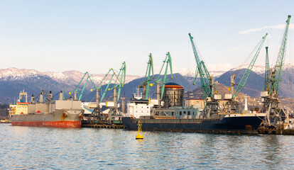 Naklejka premium Cargo port on Black Sea in Batumi in spring sunny day, Georgia