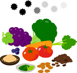 抗酸化作用を持つ食品