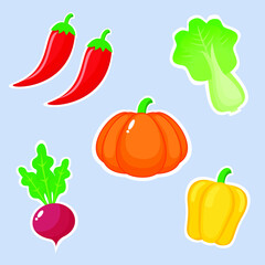 set of vegetables isolated on blue for sticker or educational media