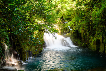 菊池渓谷：湧水の流れる森(涼しい風景) Kikuchi Gorge: Forest with flowing springs...