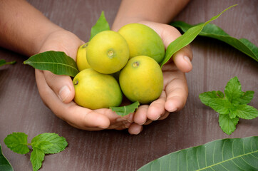 closeup the bunch ripe green yellow mango fruit with green mint and leaves hold hand over out of focus brown background.