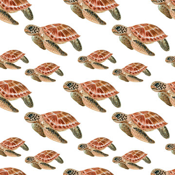 Watercolor turtles sea brown. Seamless pattern with the underwater world sea animals.Paper Watercolor Blue Pattern.Splashy Seashell,Jellyfish,Fairy mermaids.