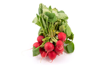 Rabanitos rojos fondo blanco