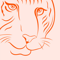 Part of funny tiger face