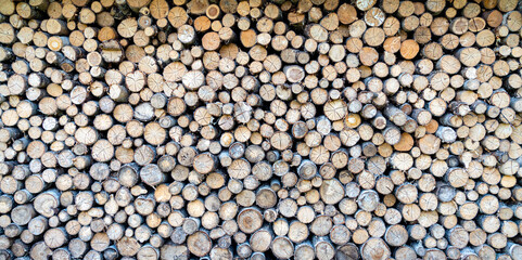 round teak wood stump background. Pile of cut forestry logs repeating tileable background.seamless image repeats up, down, left and right