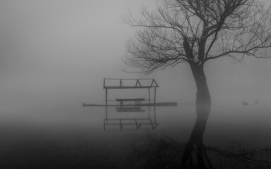 tree and boat in the fog