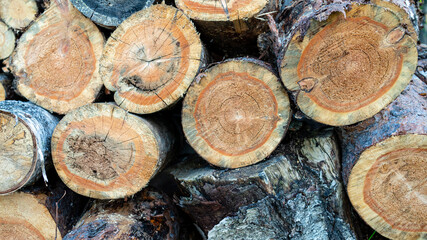 Pile of cut forestry logs repeating tileable background.seamless image repeats up, down, left and right