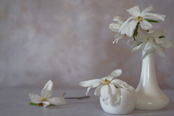 White magnolia flowers in white ceramic vases.