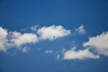 夏の綺麗な青空と飛んでいるヘリコプターの風景