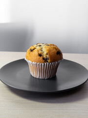 A small plate of chocolate chip muffin.