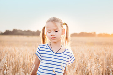 Cute little girl with two pony tails in the yellow wheat field at sunset summer landscape, summer agricultural background with ripe wheat spikes