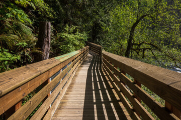 Fototapeta premium Wooded trail sidewalk by Snoqualmie Falls at Washington State during summer.