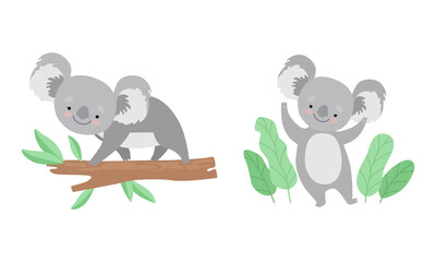 Cute Gray Koala Bear on Tree Branch and Waving Paw Vector Set