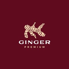 ginger logo vector icon illustration