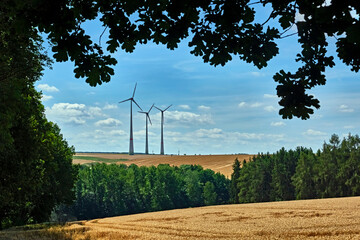 Windräder stehen auf Weizenfeldern.