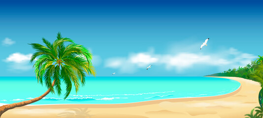 Tropics sandy beach ocean. Sandy tropical beach. Palm tree above the water. Ocean coast. Seascape of the shore. Ocean, sky, clouds, sand