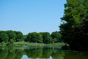 dawn on a forest lake