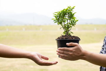 Fototapeta na wymiar The hands of two people help each other are planting young seedlings on fertile ground, taking care of growing plants. World environment day concept, protecting nature