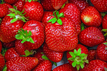 strawberries background. Close up of freshly picked red strawberries,