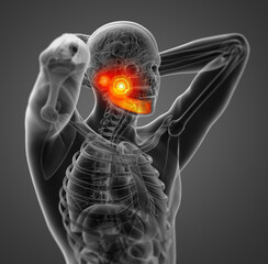 3d rendered illustration of jaw bone