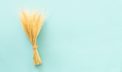 Wheat ears on a blue background
