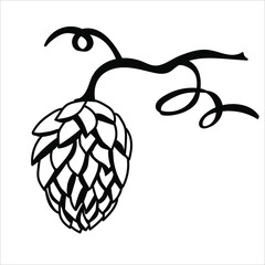 Hand drawn beer hop illustrations. Design element for logo, label, emblem, sign, poster, label. Vector