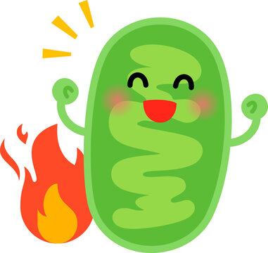 ミトコンドリア」の写真素材 | 9,355件の無料イラスト画像 | Adobe Stock