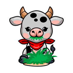 Cute baby cow cartoon eating grass