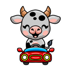 Cute baby cow cartoon driving red car