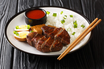 Singapore Teochew Duck with rice, eggs and tofu close-up in a plate on the table. horizontal
