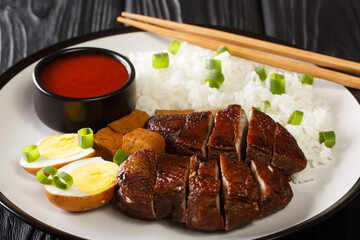Chinese Braised Duck served with rice, eggs and tofu close-up in a plate on the table. horizontal