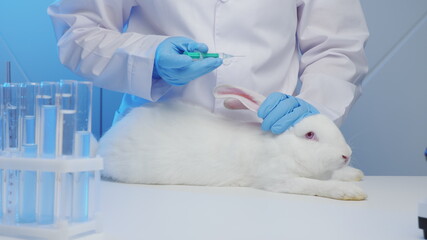 Veterinarian in a laboratory giving an injection to a helpless rabbit, animal testing, vaccine...