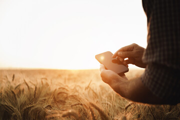 Man using smartphone while standing in wheat field at sunset - Powered by Adobe