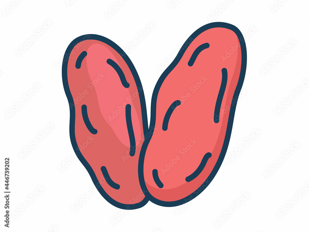 Poster palm date single isolated icon with filled line style