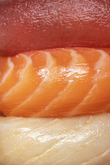 Sushi nigiri assortment with salmon, tuna and butterfish macro close up full frame