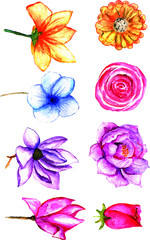 Beautifull assortment watercolor flower for decoration frame