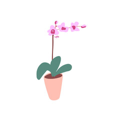 Orchid flower illustration in cartoon style