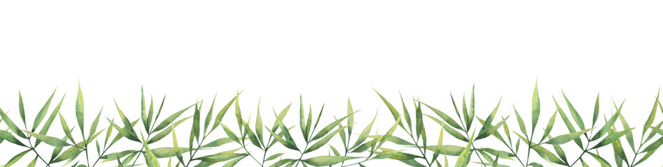 Fototapeta na wymiar Watercolor seamless border with green branches and bamboo leaves on a white background. Botanical illustration for postcards, posters, banners, fabrics.