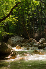 Mountain river green forest. Summer beautiful cool landscape in the forest with water. Natural vertical background. A stream of clear water flows over huge stones. The concept of summer freshness