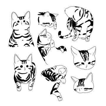 5 672 Best イラスト ネコ 猫 Images Stock Photos Vectors Adobe Stock