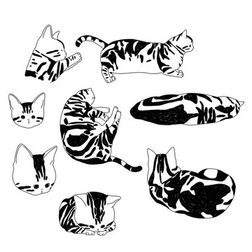 5 6 Best イラスト ネコ 猫 Images Stock Photos Vectors Adobe Stock