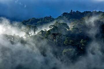 Tropic fog clouds forest, high mountain in Ecuador. Pichincha (4794 m), hill in clouds on blue sky....