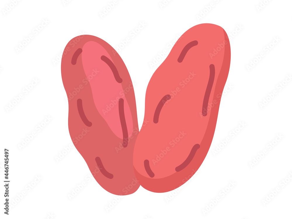 Poster palm date single isolated icon with flat style