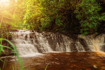 Beautiful water fall in a forest